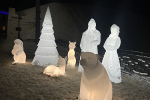 Мэрия Владимира пожаловалась на ломающих новогодние украшения вандалов