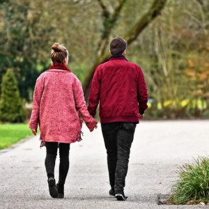 Проект благоустройства парка во Владимире разработает московская контора