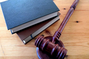 Создатели «Лунтика» обвинили жителя Владимирской области в нарушении авторских прав