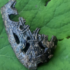 В Окском парке в Муроме нашли наконечник ножен меча 10-го века