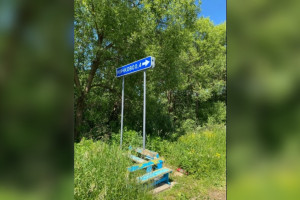 Остановка в Александровском районе за 30 лет заросла кустами