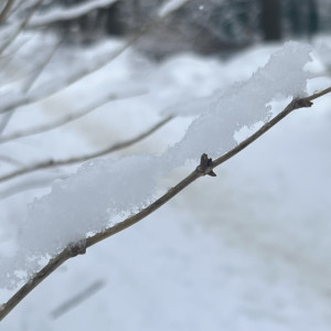 Прогноз погоды во Владимирской области на 10 февраля