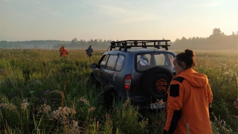 «Ушел за ягодами и пропал». Спасатели рассказали о поисках 67-летнего жителя Улыбышево