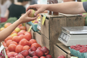 Продолжится ли рост цен на продукты во Владимирской области?