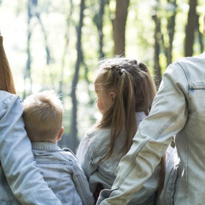 Во Владимирской области расширили список претендующих на льготы многодетных семей