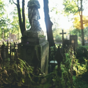 Жители владимирской деревни пожаловались на строительство сельского кладбища