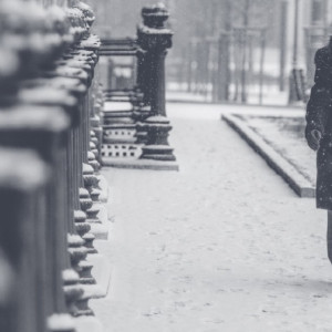 МЧС предупредило о сильном снегопаде во Владимирской области