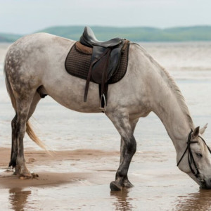 Святой Акакий, или Купальница. Что можно и нельзя делать 20 мая
