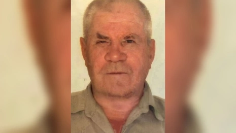 Жителей Владимирской области позвали на срочные поиски 84-летнего дедушки