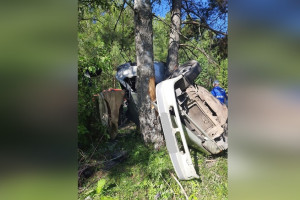 Во Владимирской области легковушку намотало на дерево