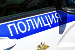 Жительницу Суздаля будут судить за избиение полицейского