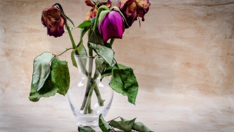 Во Владимире загадочным образом погибла женщина