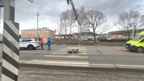 Во Владимире сбившего насмерть дедушку 19-летнего водителя «Газели» будут судить