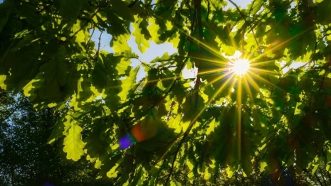 Пятый день Великого поста: что можно и нельзя 22 марта