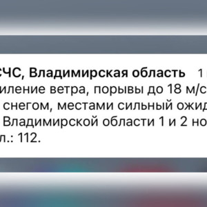 МЧС предупредило жителей Владимирской области о мощном урагане и мокром снеге
