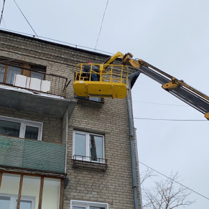 Во Владимирской области волонтеры спасли голубя