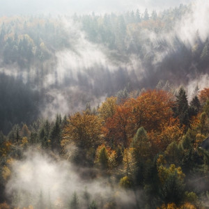 Расстояние от рязанских пожаров до Владимирской области за 2 дня сократилось на 4 км