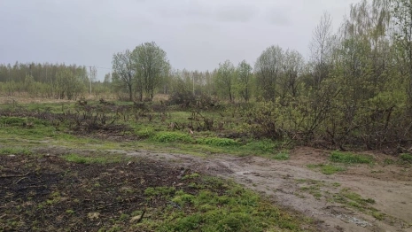 В Карабаново 48 многодетным семьям выдали участки без воды и нормальных дорог