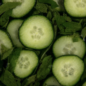 Владимиро-Суздальский музей опроверг слухи о входе на День Огурца по 700 рублей