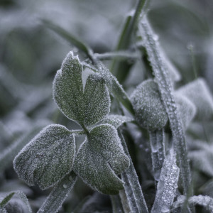 Прогноз погоды во Владимирской области на 3 ноября