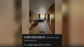 Во Владимире выставили на продажу квартиру за 5,3 млрд рублей