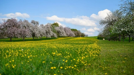 Жара во Владимире побила 20-летний рекорд