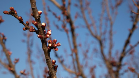 Прогноз погоды во Владимире и области на 22 апреля 2026 года