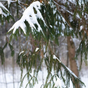 Прогноз погоды на 10 марта 2024 года во Владимире и области