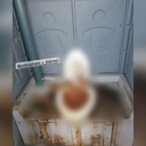 Владимирские водители автобусов пожаловались на отвратительный туалет