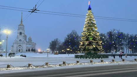 Владимир полностью украсили к Новому году