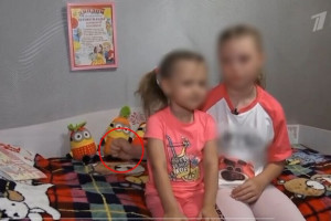 В Муроме семью подавшей жест помощи девочки прокуроры посчитали благополучной