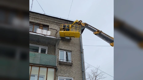 Во Владимирской области волонтеры спасли голубя