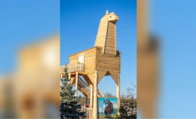 Самый большой арт-объект «Конь» из Владимирской области может попасть в Книгу рекордов