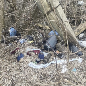 На улице Трудовой в Муроме выросла стихийная свалка