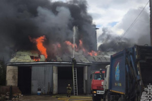 Спасатели показали кадры с места пожара в автосервисе под Собинкой