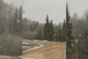 Александровский район засыпало снегом