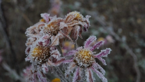 Прогноз погоды на 5 января во Владимирской области