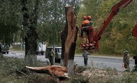 Во Владимире ураган 28 сентября повалил деревья