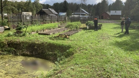 В селе под Собинкой 87-летняя бабушка утонула в маленьком частном пруду