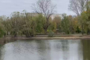 Во Владимире у Соловьиного пруда появится живая изгородь
