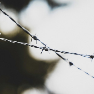 Алексей Навальный* умер в колонии