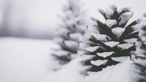 Снег во Владимире будут возить на одну свалку, но этого недостаточно