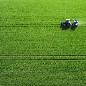 Во Владимирской области фермеры получат 1,4 млрд рублей на посевную компанию