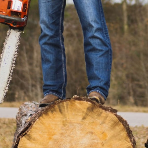 В Александрове сбежавшего от следствия «черного лесоруба» отправили в колонию