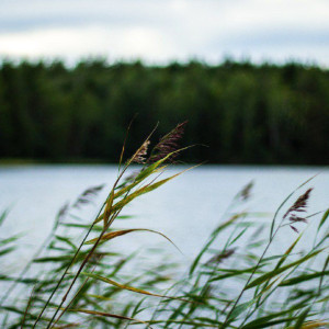 Евтихий Тихий: что можно и нельзя делать 6 сентября