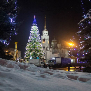 Владимирцы определились с желаемым форматом новогодних гуляний