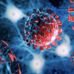 Во Владимирской области за неделю подтвердили 25 случаев ковида