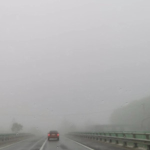 На Владимирскую область опустился густой туман