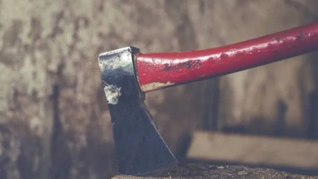 Во Владимирской области жителя Омска осудили за убийство человека топором
