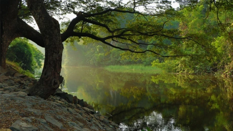Во Владимирской области появится набережная за 70 млн рублей